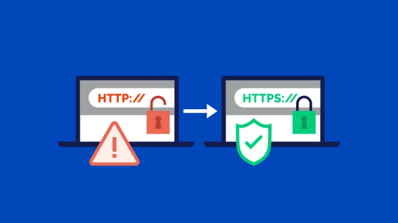 Site Security & Data Encryption