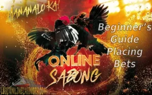 Online Sabong – Beginner’s Guide Placing Bets