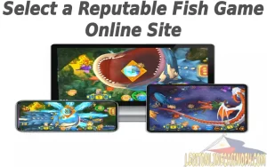 Select a Reputable Fish Game Online Site