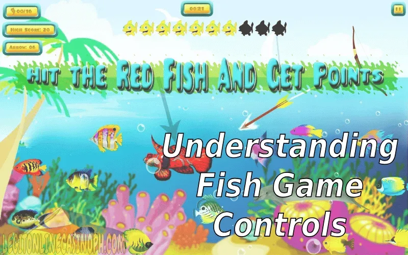 Understanding Fish Game Controls